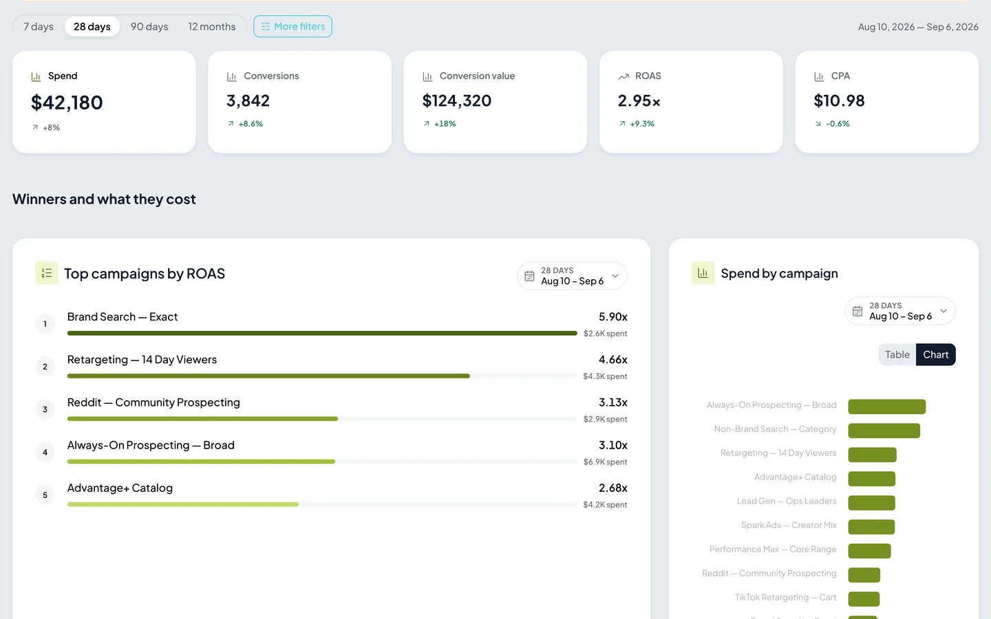 Reachype dashboards: engagement and period charts, reach, ad ROAS, audience and channel breakdown cards